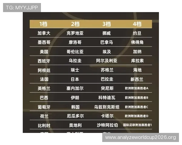 2026年世界杯荷兰瑞典伤病名单公布，球队备战状态及赛前调整策略